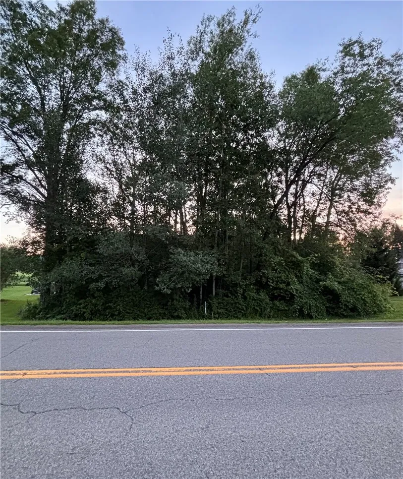 Property at County Route 121, Wayland, NY 14826