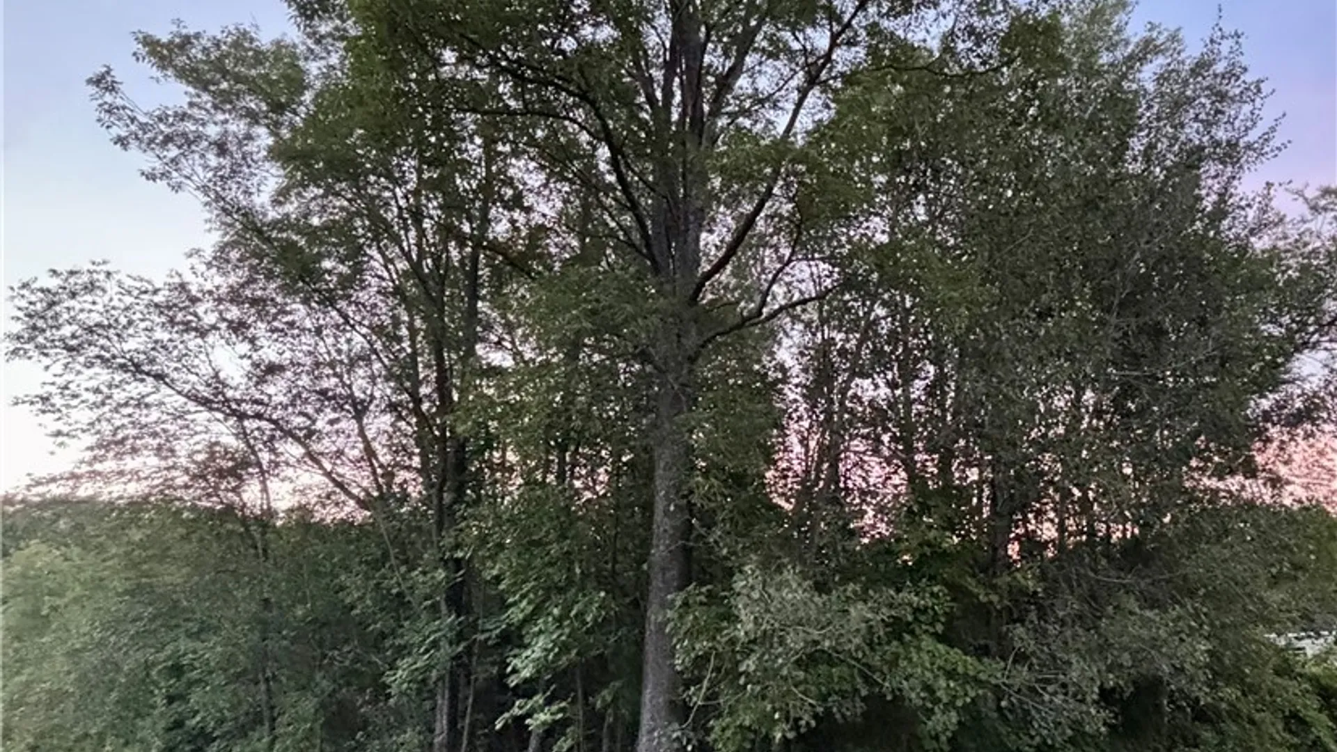 Property at County Route 121, Wayland, NY 14826 3