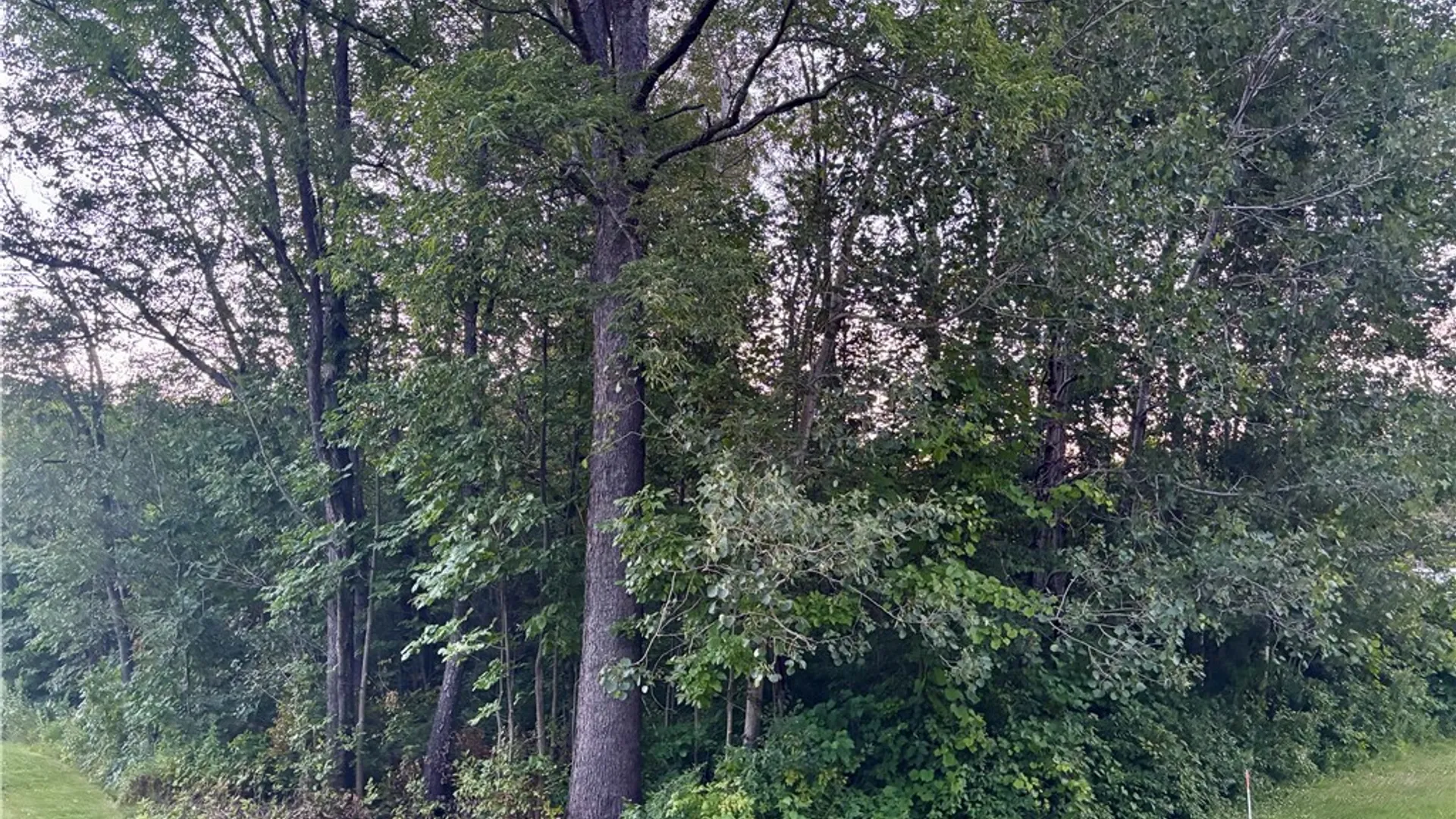 Property at County Route 121, Wayland, NY 14826 4