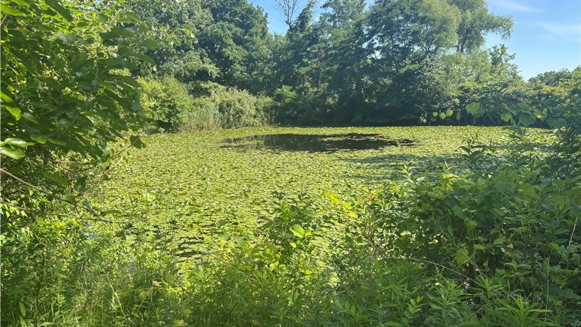 Property at 1332 New York 96, Waterloo, NY 13165 22