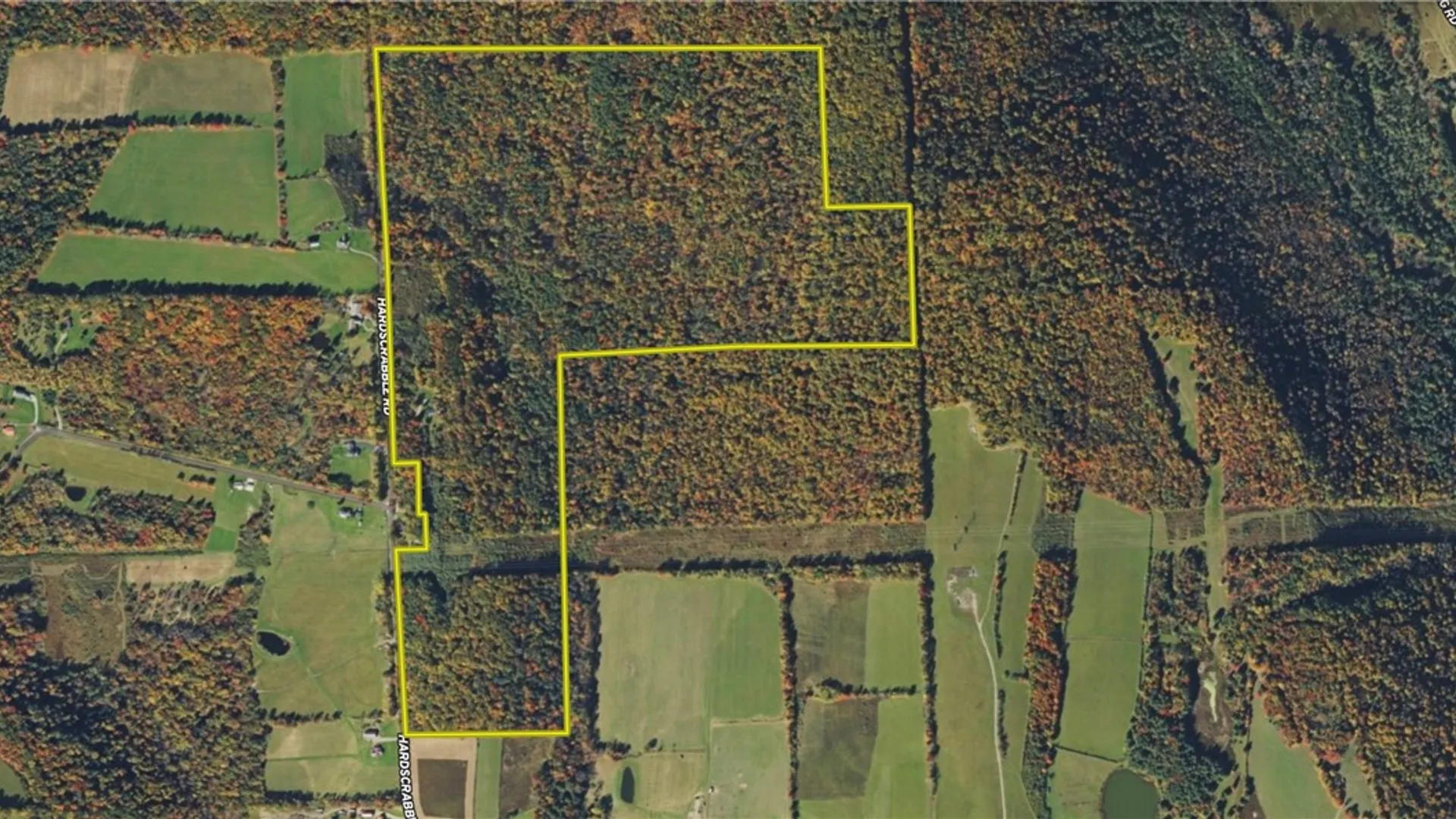 Property at 144 Hardscrabble Road, Baldwin, NY 14901 47