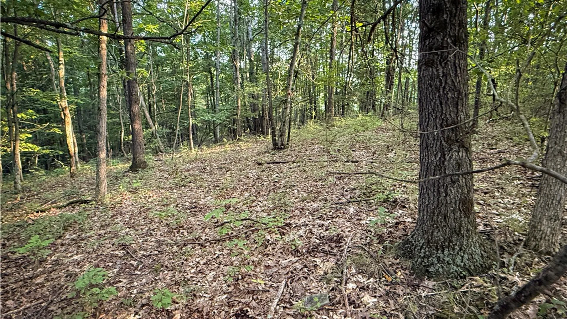 Property at 144 Hardscrabble Road, Baldwin, NY 14901 26
