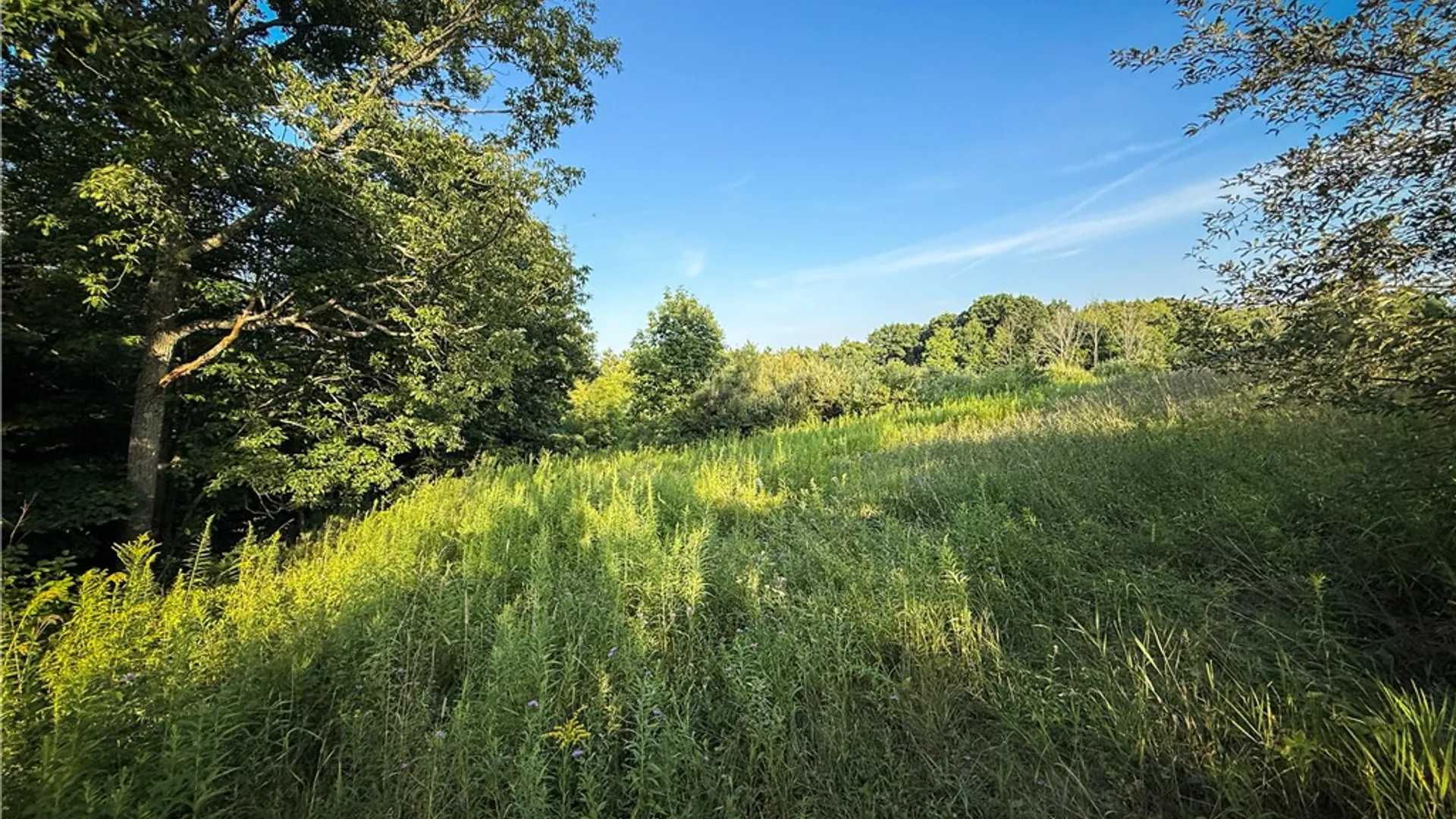 Property at 144 Hardscrabble Road, Baldwin, NY 14901 30