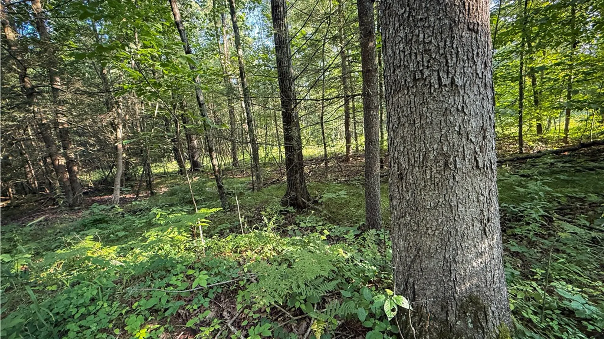 Property at 144 Hardscrabble Road, Baldwin, NY 14901 36