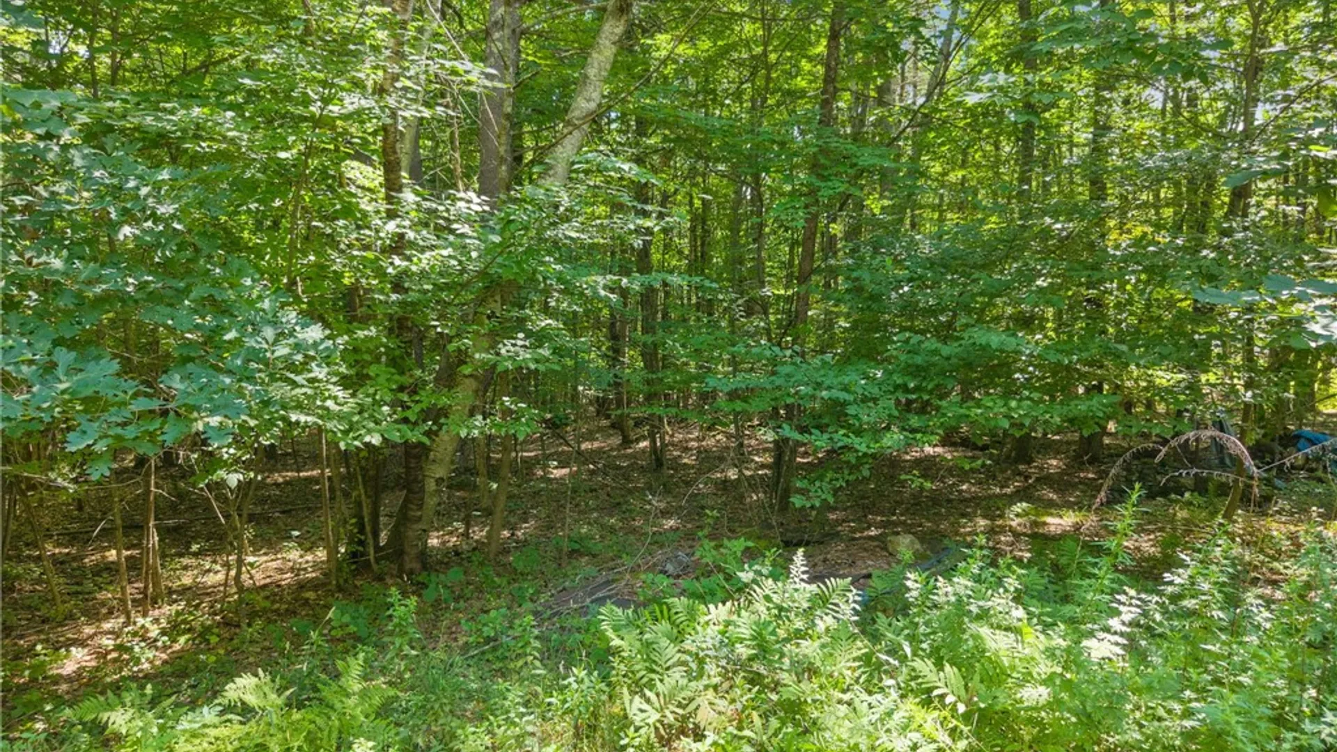 Property at 404 Posson Hill Road, Middleburgh, NY 12122 5
