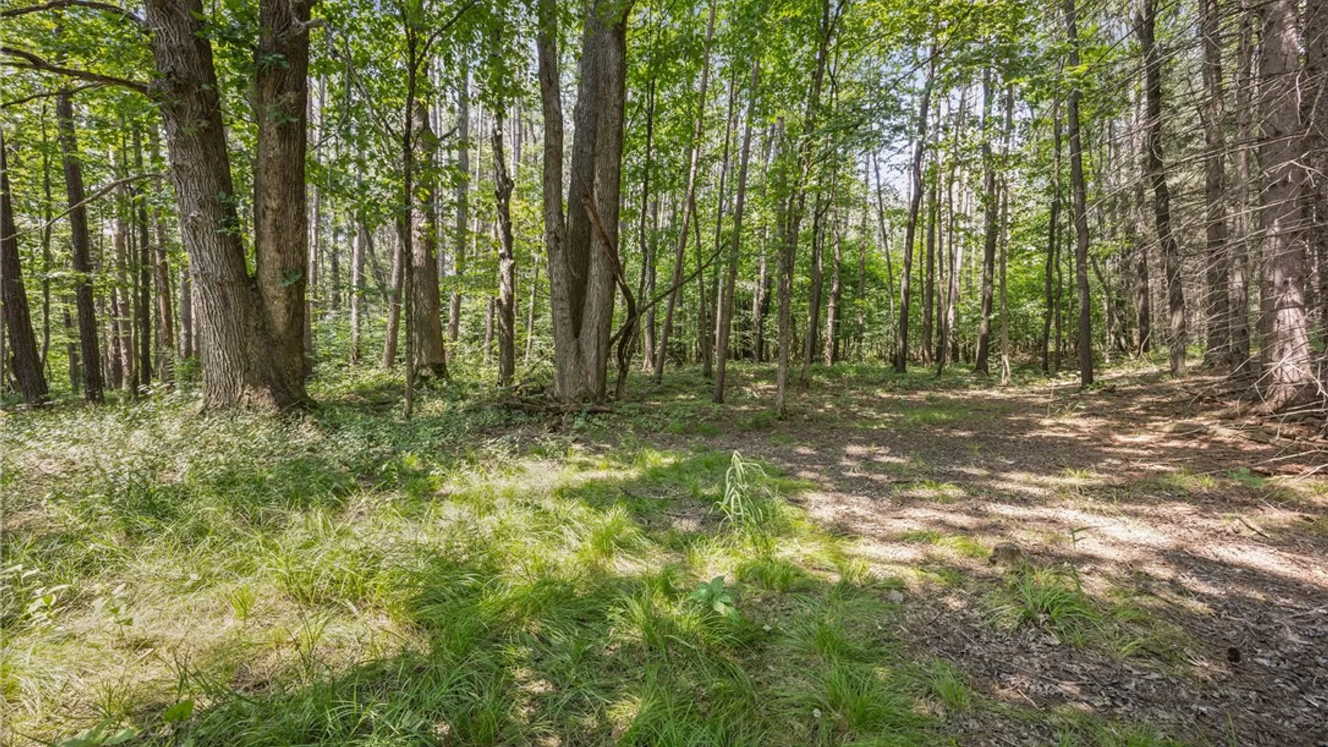 Property at 8339 Middle Road, Angelica, NY 14709 14