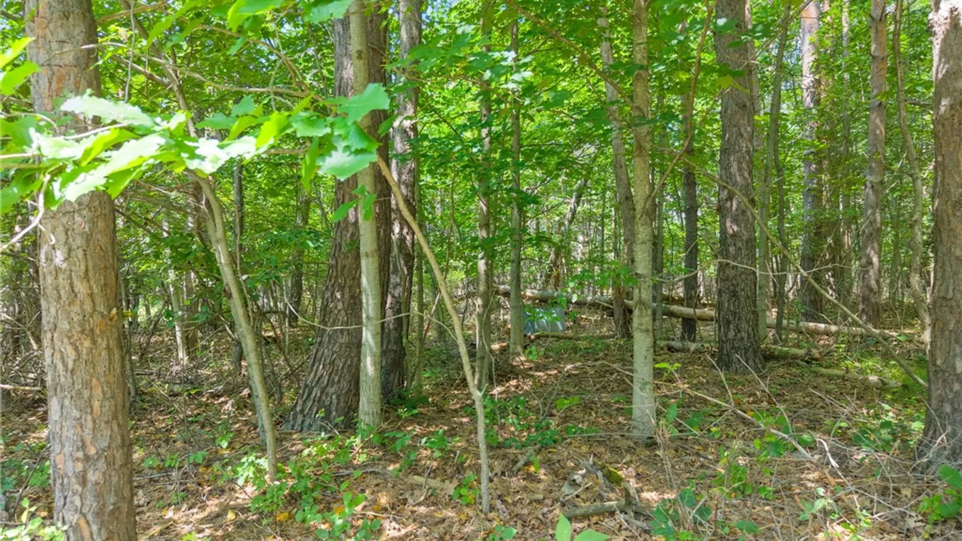 Property at 533 Willsie Road, Berne, NY 12059 9
