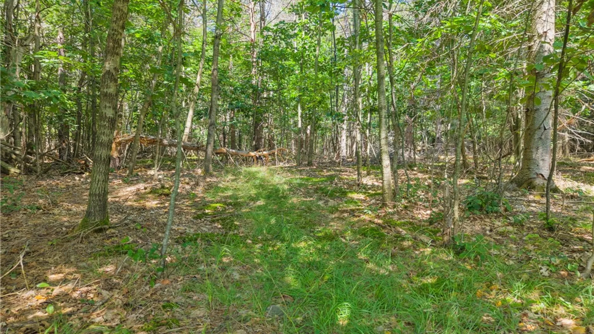 Property at 533 Willsie Road, Berne, NY 12059 10