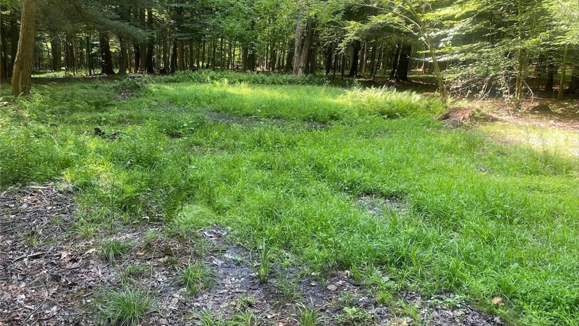 Property at 11442 Hooker Road, Granger, NY 14846 27