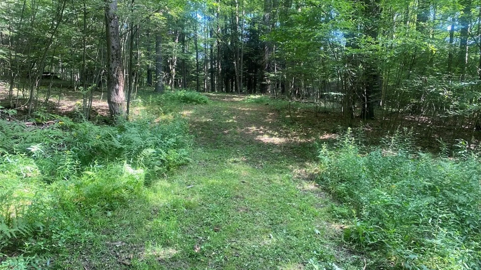 Property at 11442 Hooker Road, Granger, NY 14846 29