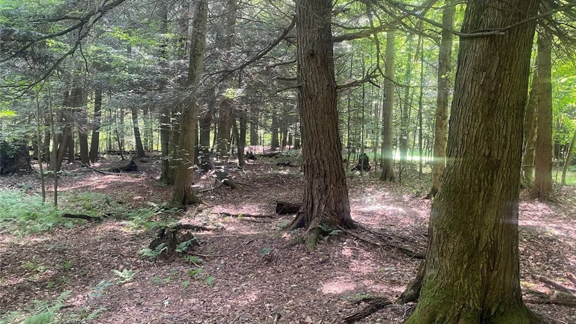 Property at 11442 Hooker Road, Granger, NY 14846 30