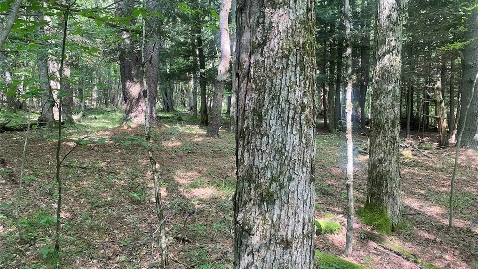 Property at 11442 Hooker Road, Granger, NY 14846 31