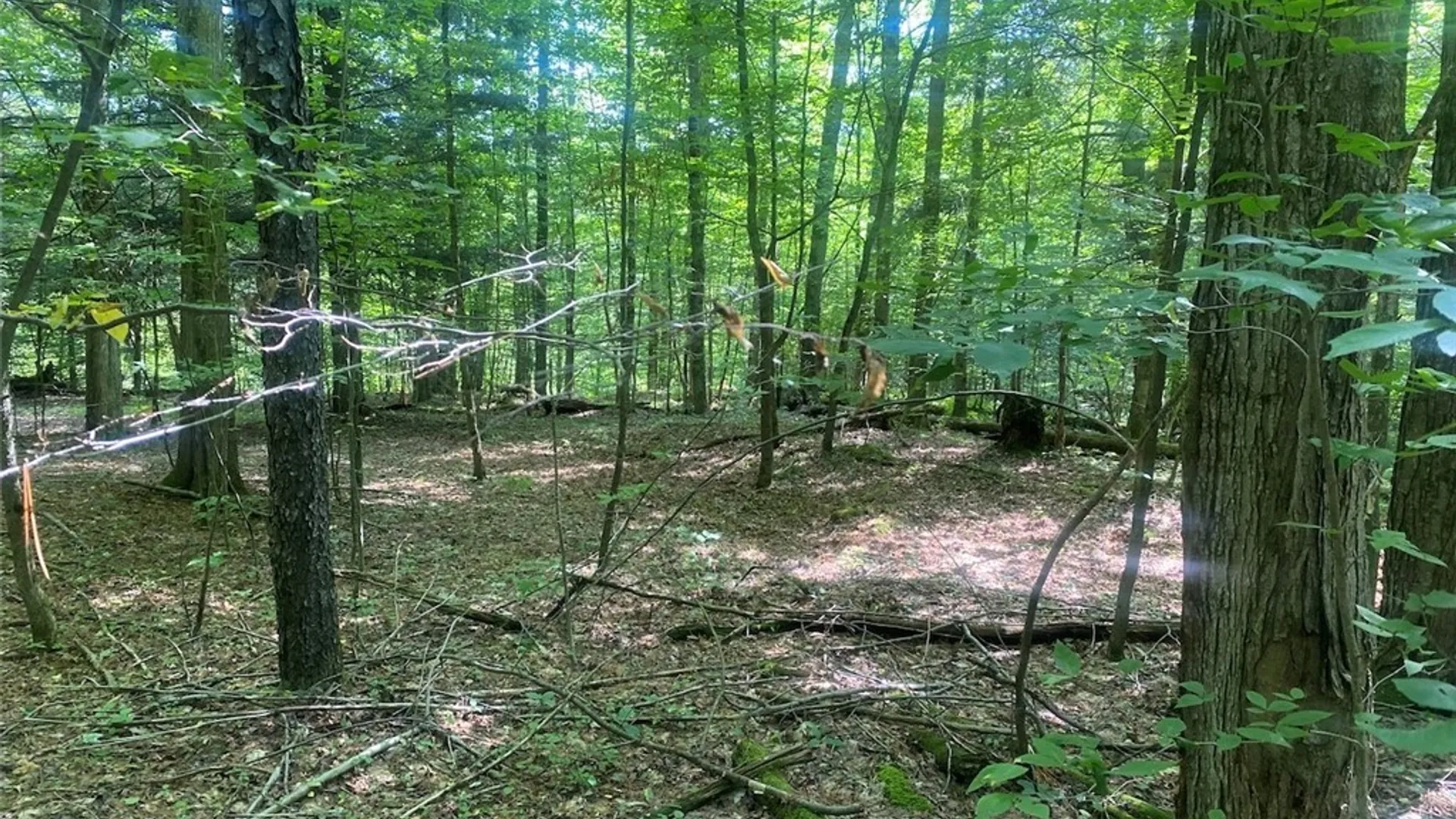 Property at 11442 Hooker Road, Granger, NY 14846 32
