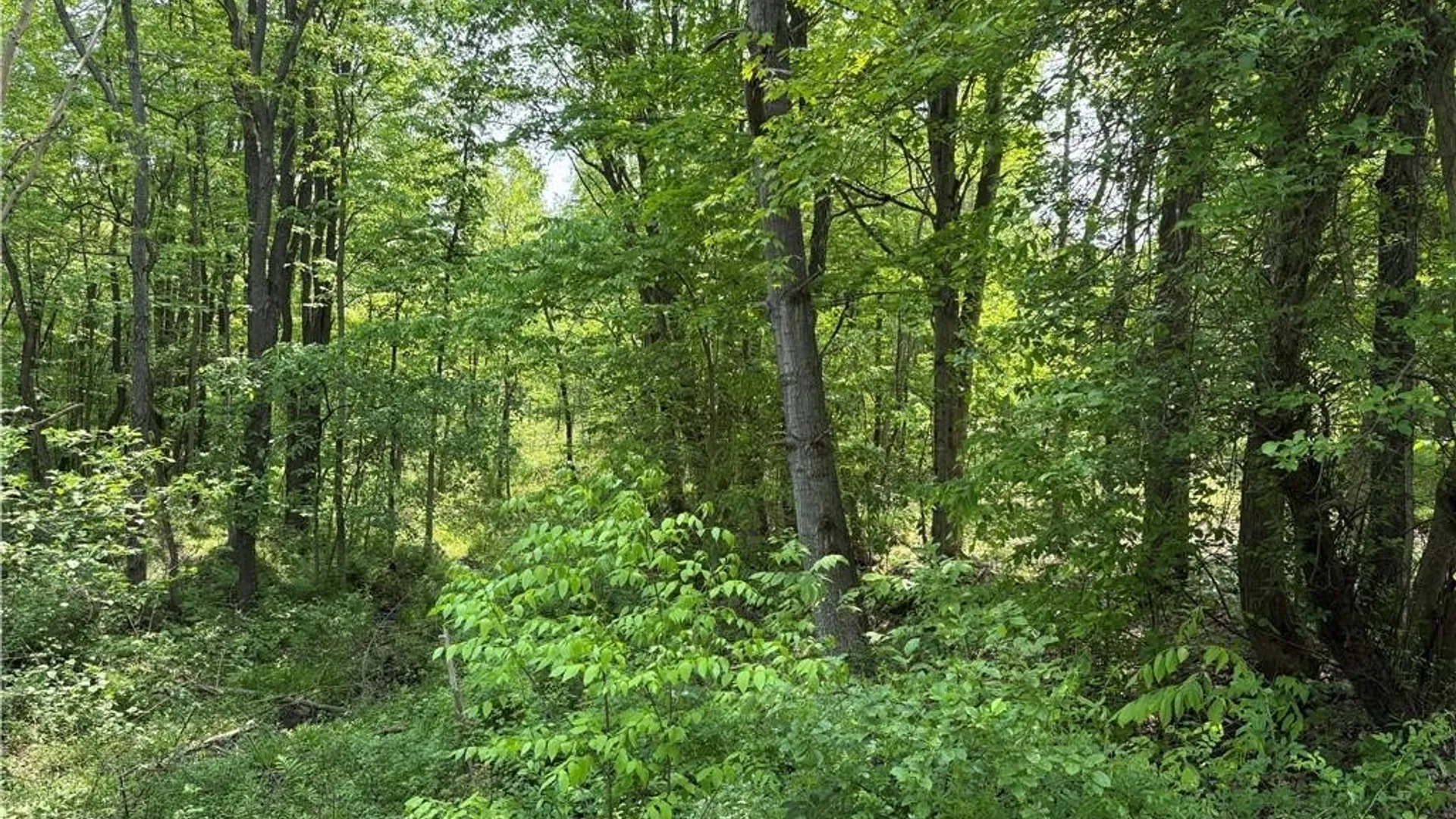 Property at Burton Road, Busti, NY 14701 5