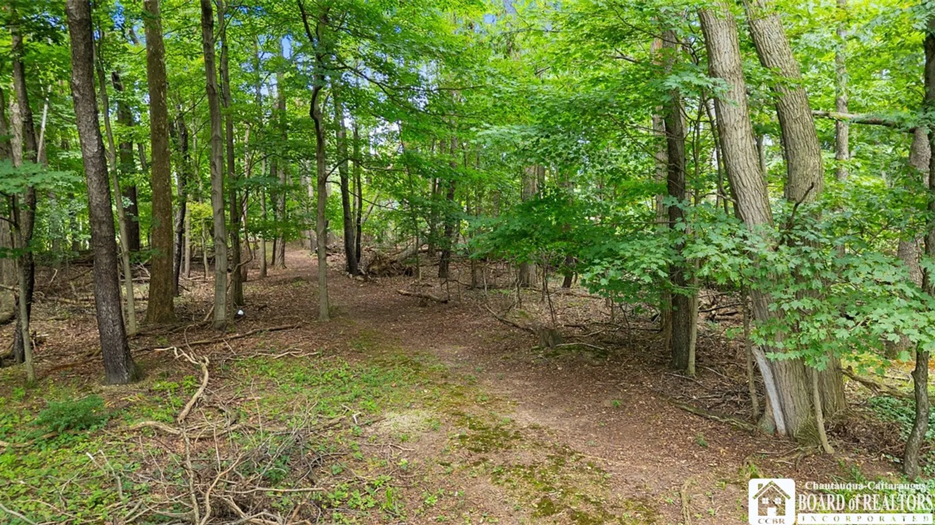 Property at 105 Matteson Street, Pomfret, NY 14063 9