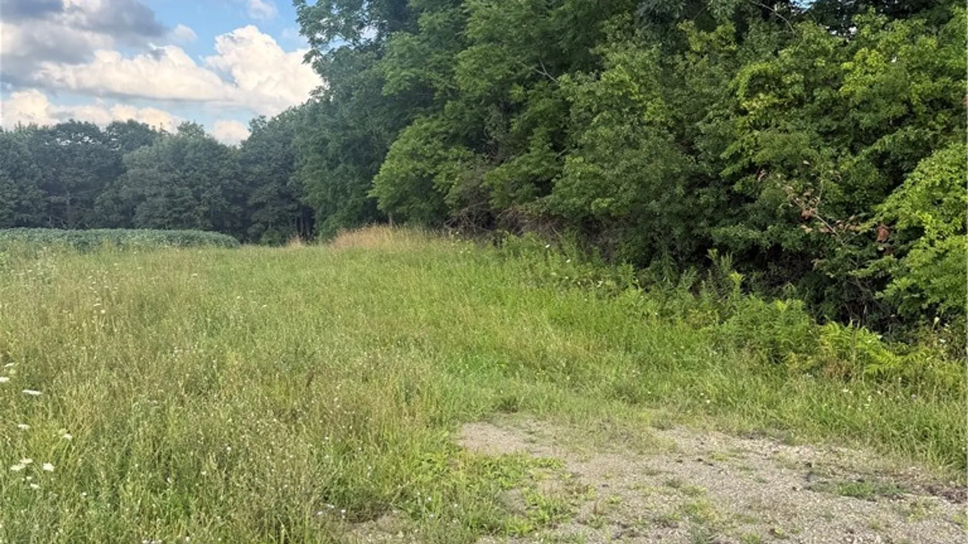 Property at County Route 46, Dansville, NY 14437 38