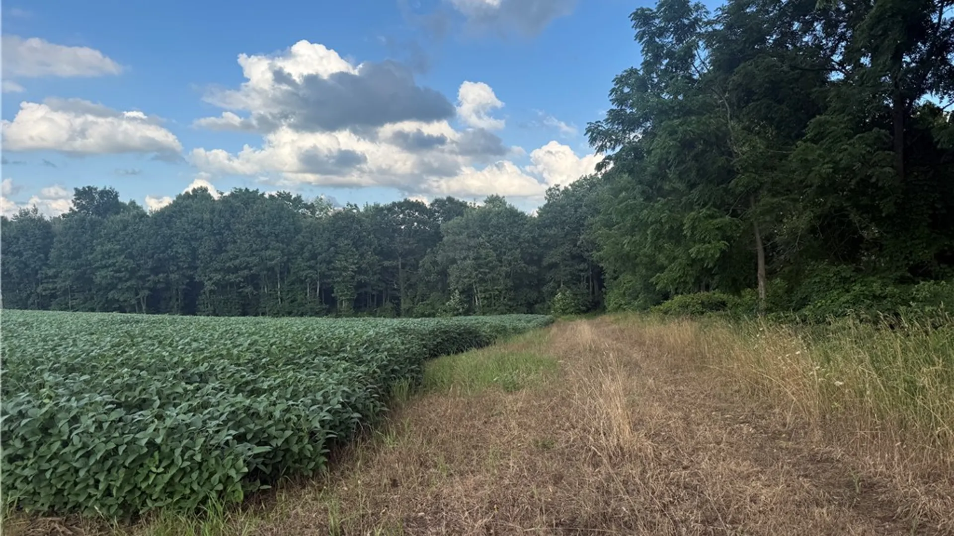 Property at County Route 46, Dansville, NY 14437 39
