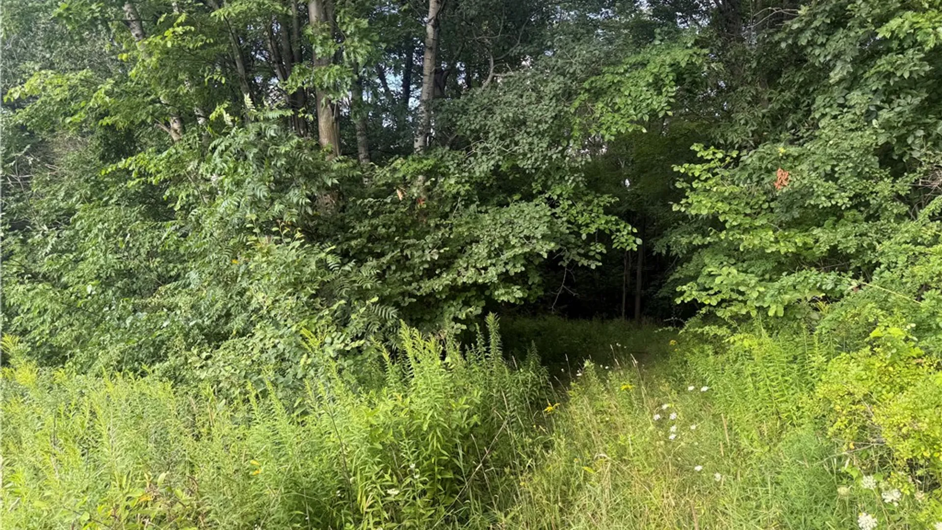 Property at County Route 46, Dansville, NY 14437 40