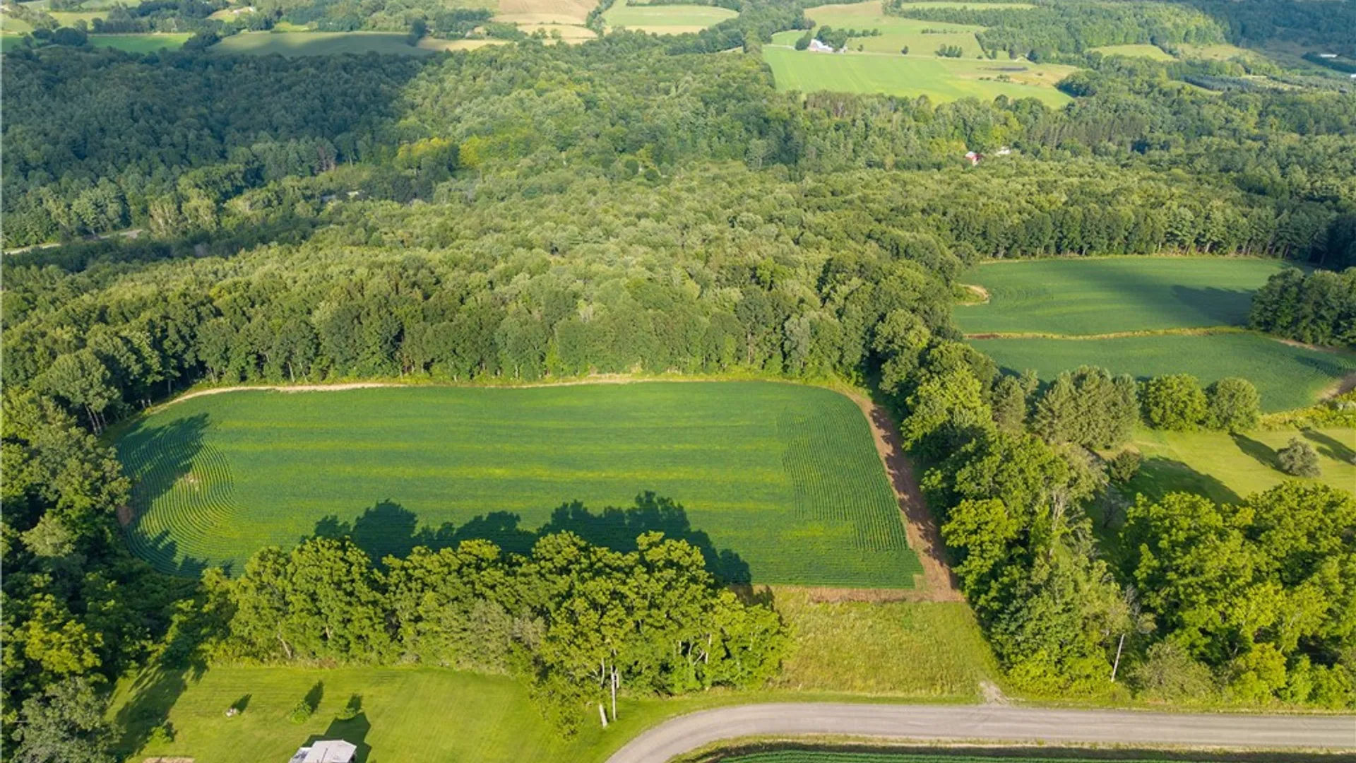 Property at County Route 46, Dansville, NY 14437 29