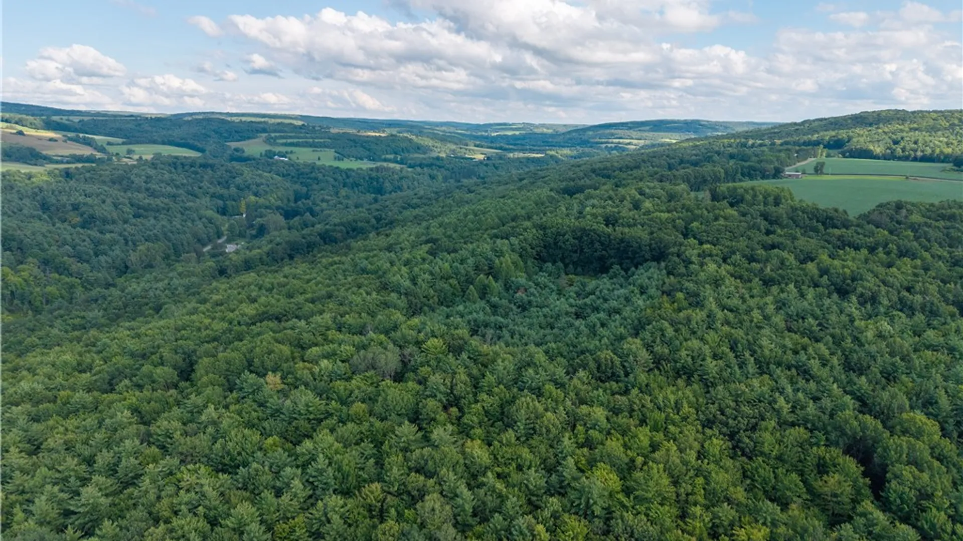 Property at County Route 46, Dansville, NY 14437 4