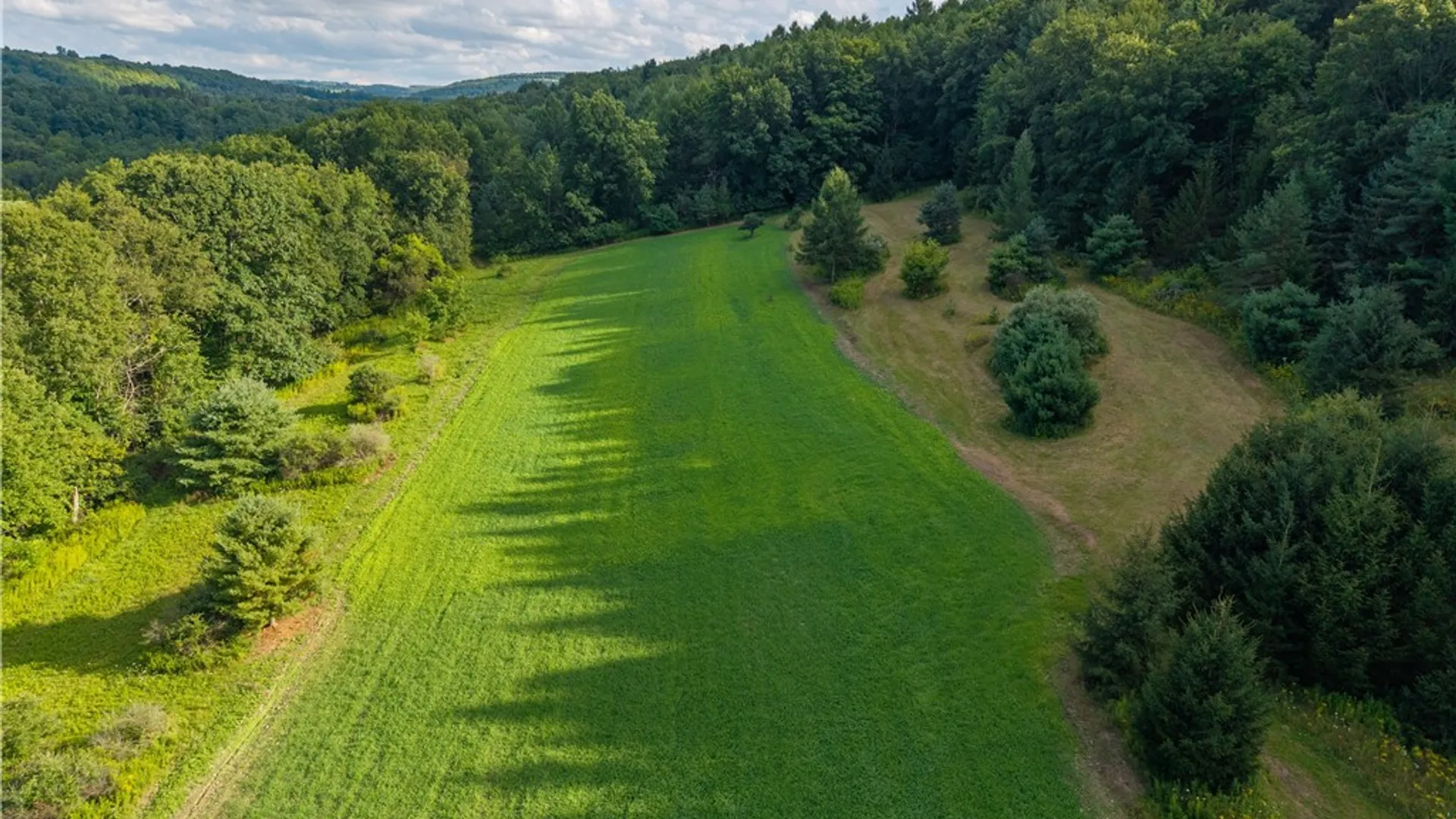 Property at County Route 46, Dansville, NY 14437 12