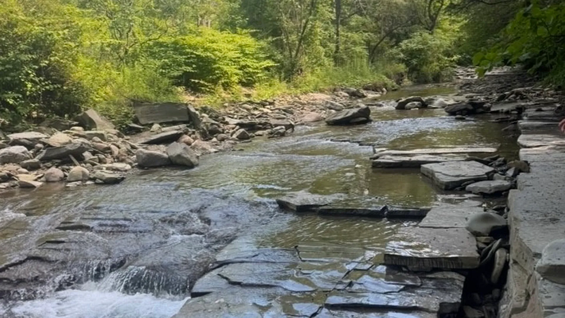 Property at County Route 46, Dansville, NY 14437 41
