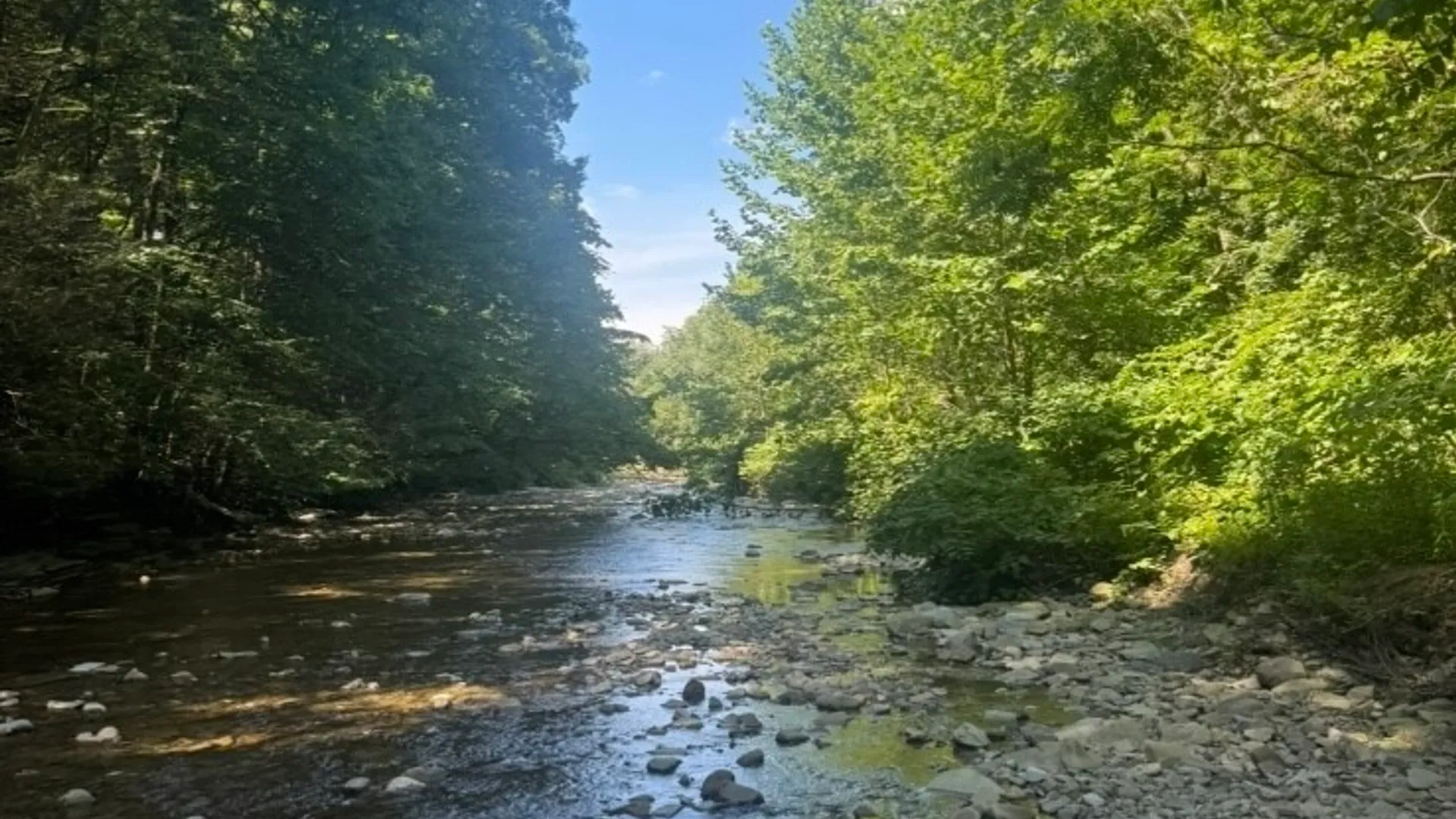 Property at County Route 46, Dansville, NY 14437 43