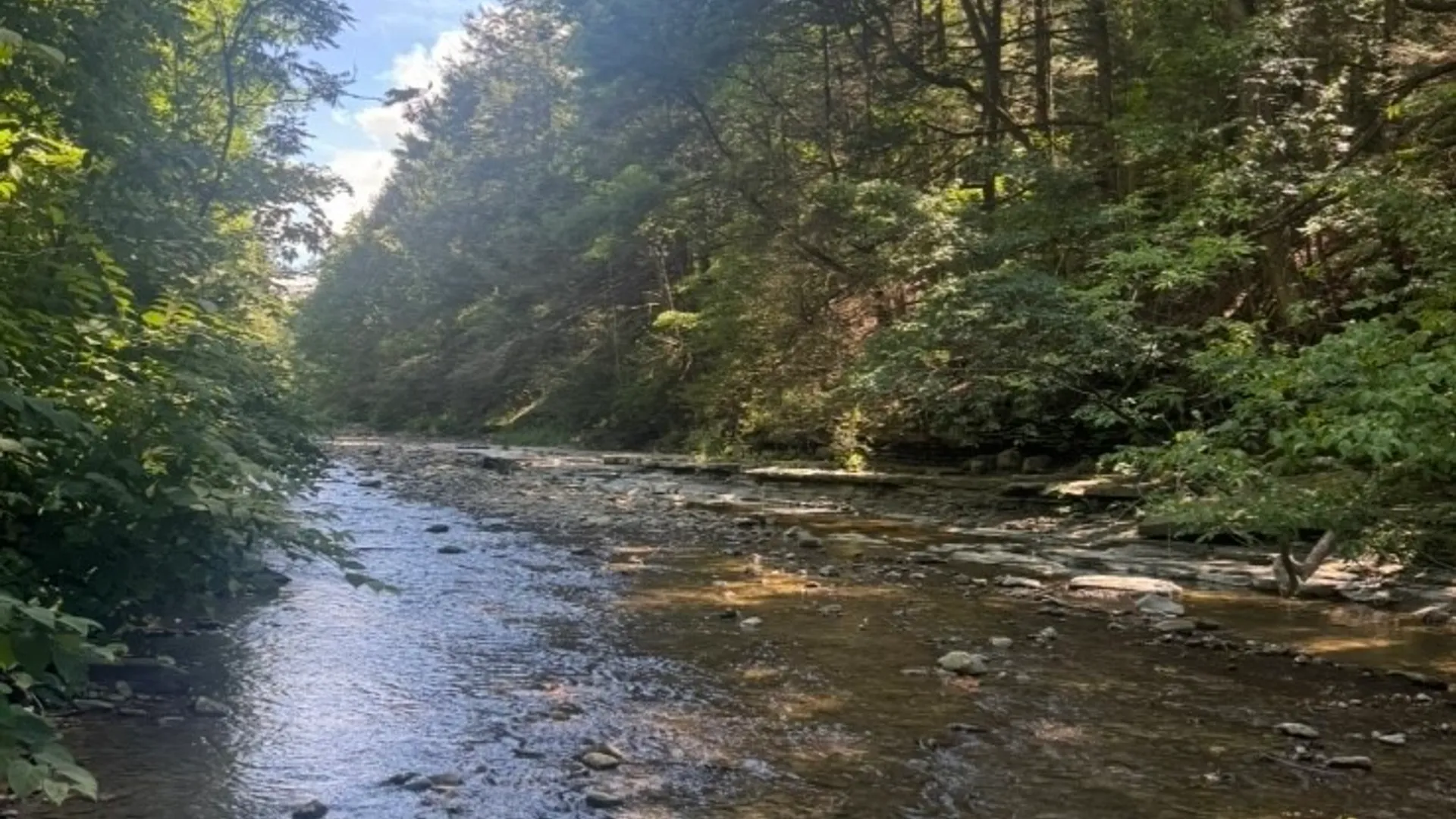 Property at County Route 46, Dansville, NY 14437 44