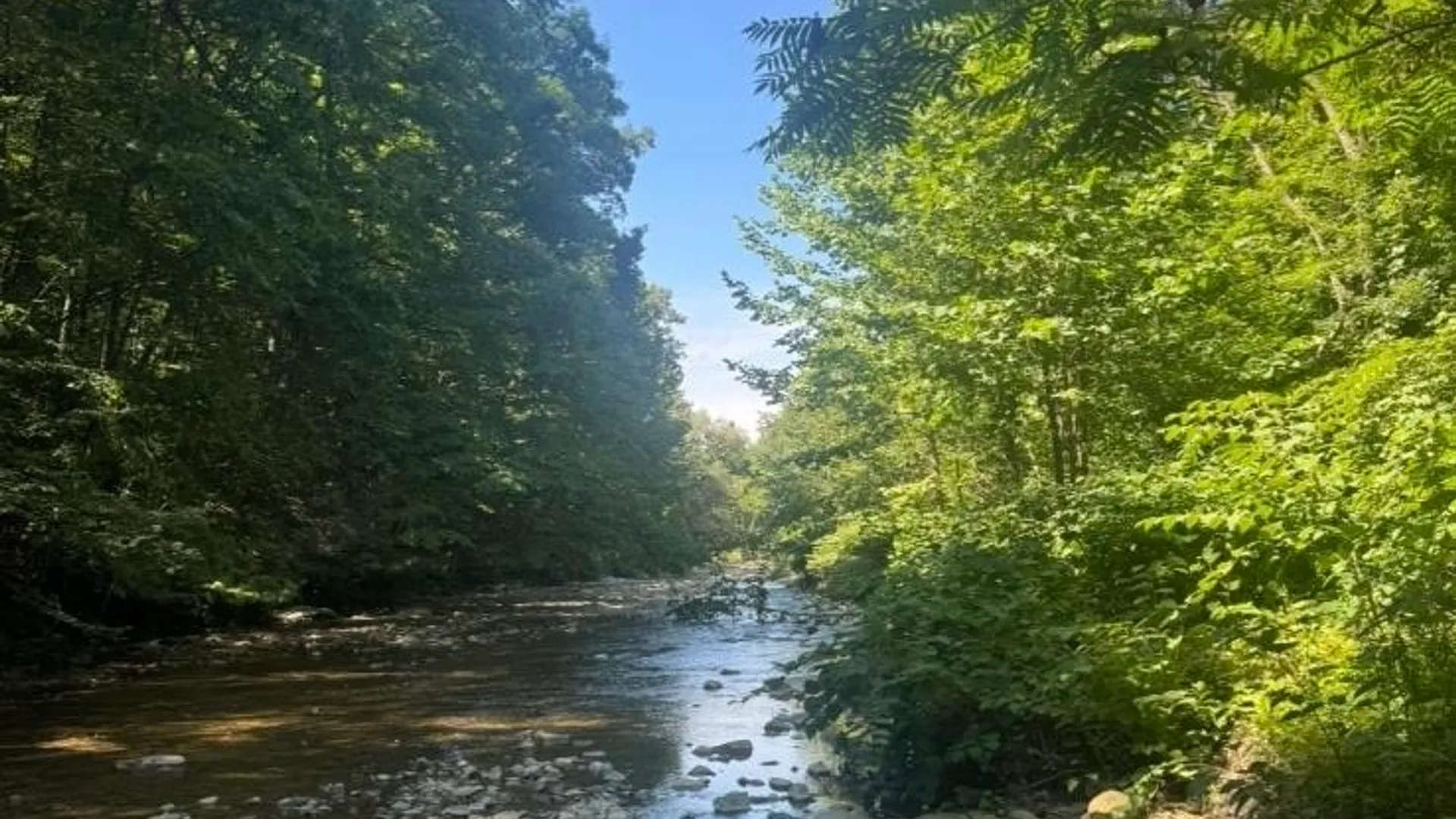 Property at County Route 46, Dansville, NY 14437 45