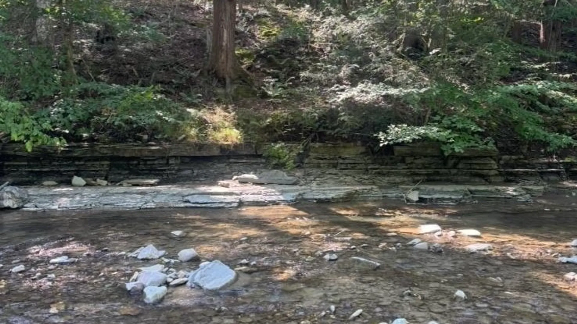 Property at County Route 46, Dansville, NY 14437 46