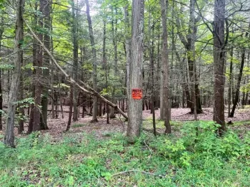 Property at 0 (NEAR 896) Cayuga Heights Road, Lansing, NY 14850