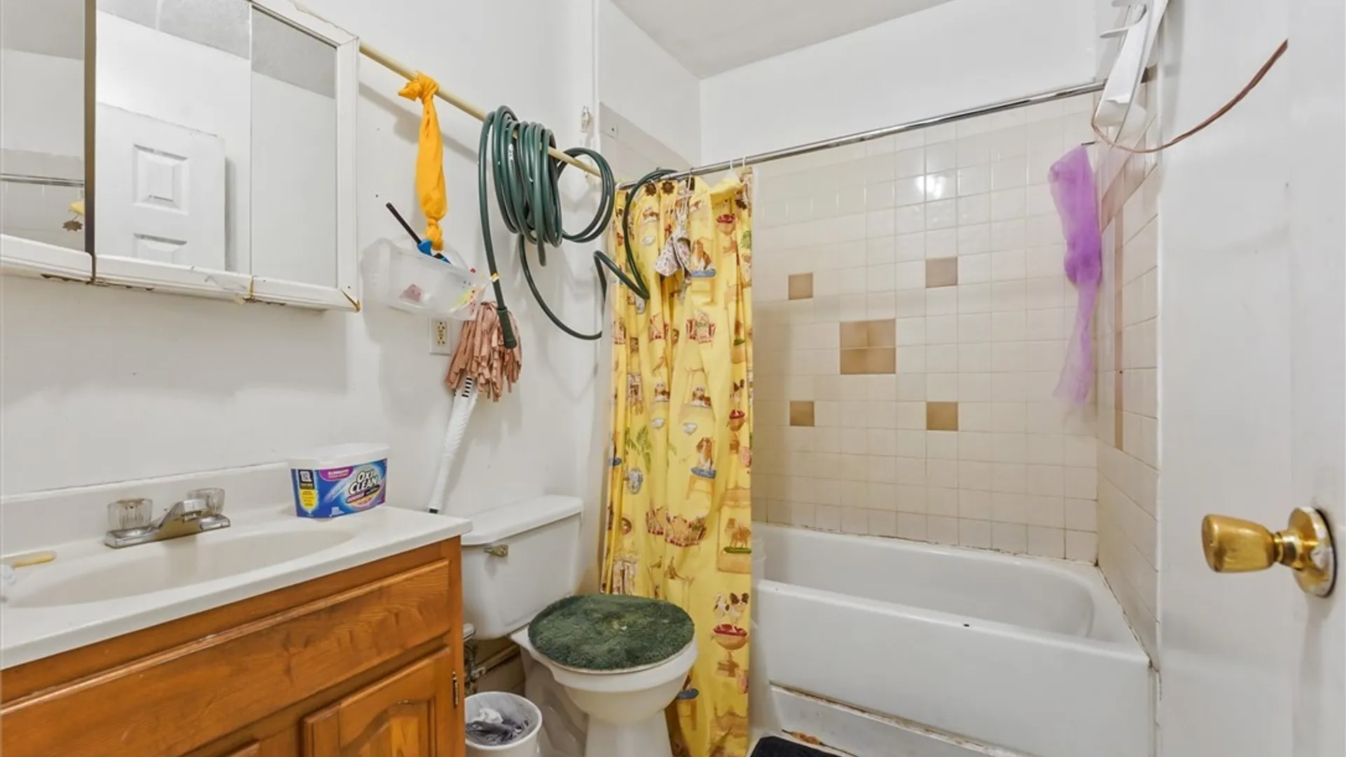 Property at 249 Lilac Street, Syracuse, NY 13208 22