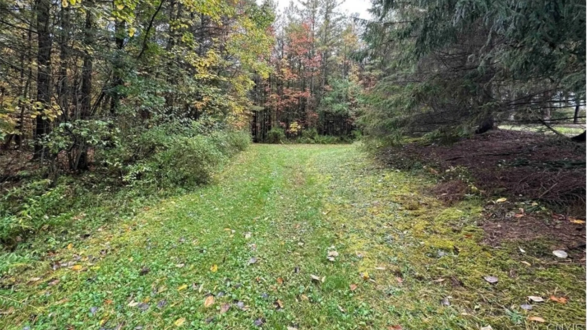 Property at 8248 Gallagher Road, Pulteney, NY 14873 8
