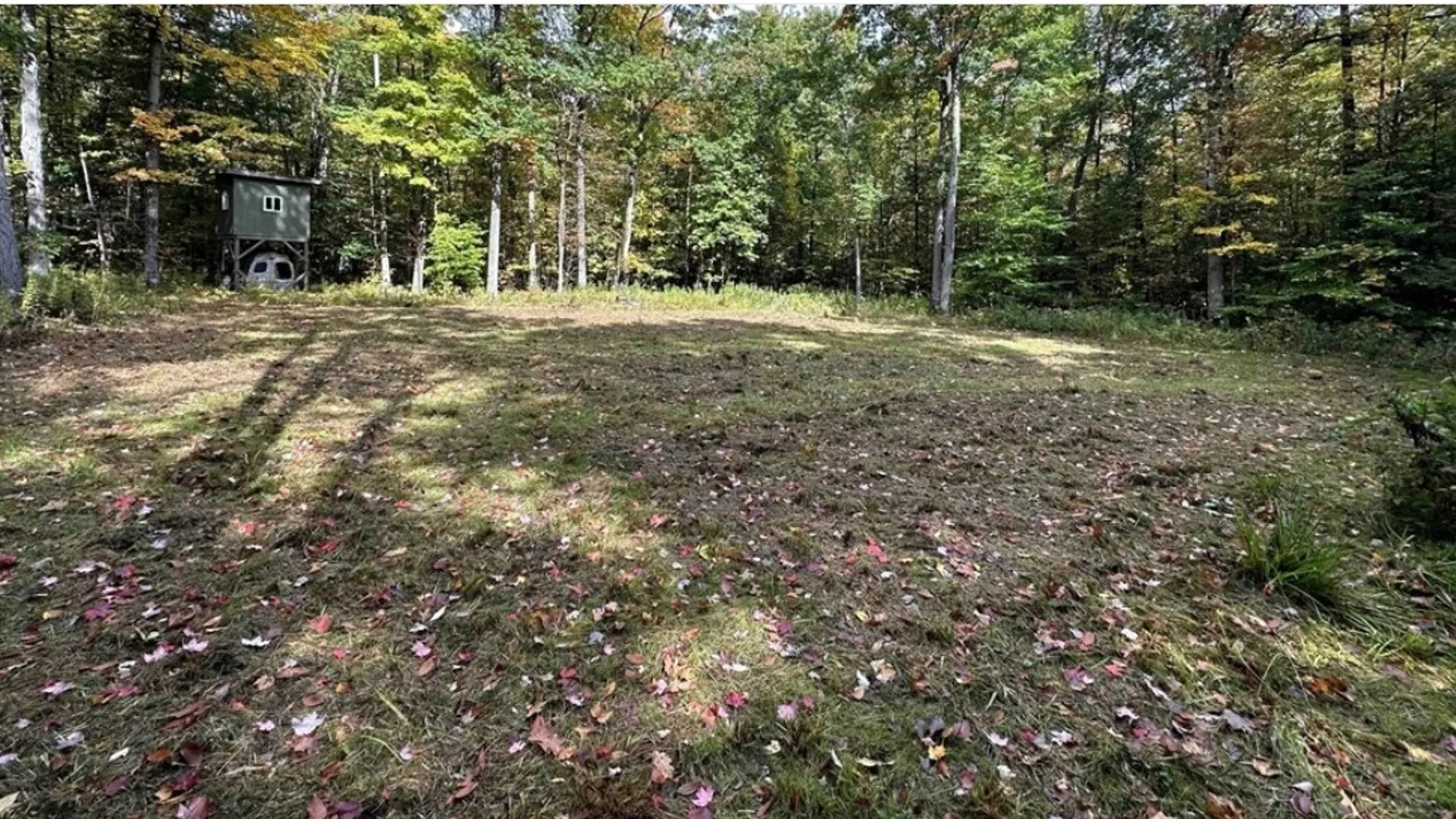 Property at 8248 Gallagher Road, Pulteney, NY 14873 9