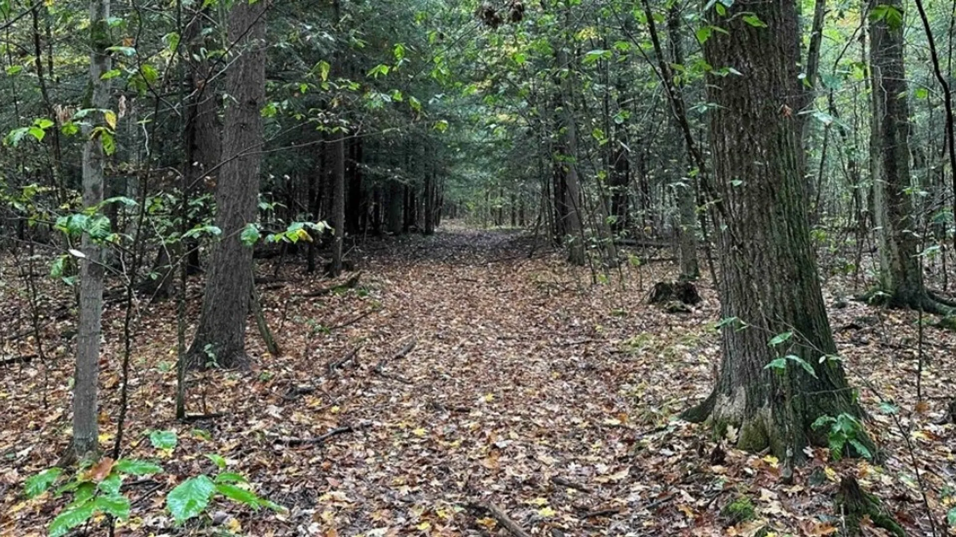 Property at 8248 Gallagher Road, Pulteney, NY 14873 11
