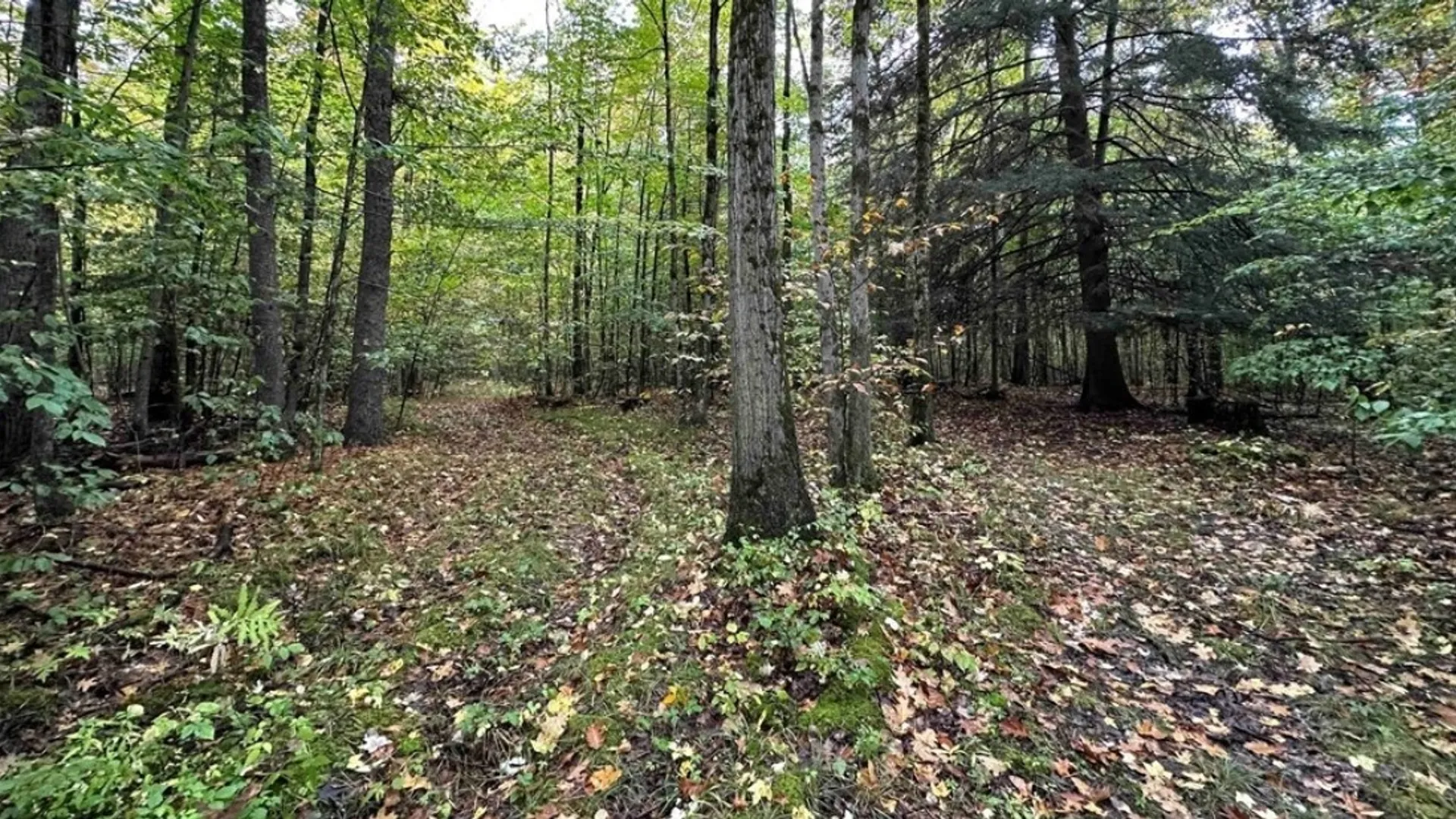 Property at 8248 Gallagher Road, Pulteney, NY 14873 12
