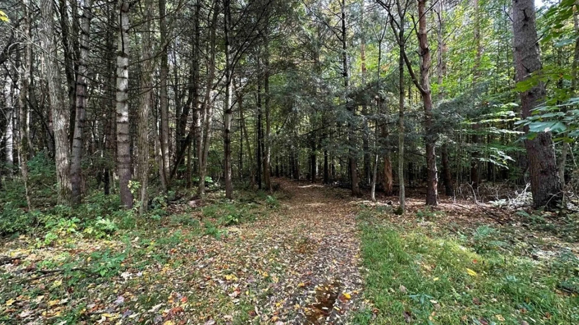 Property at 8248 Gallagher Road, Pulteney, NY 14873 4