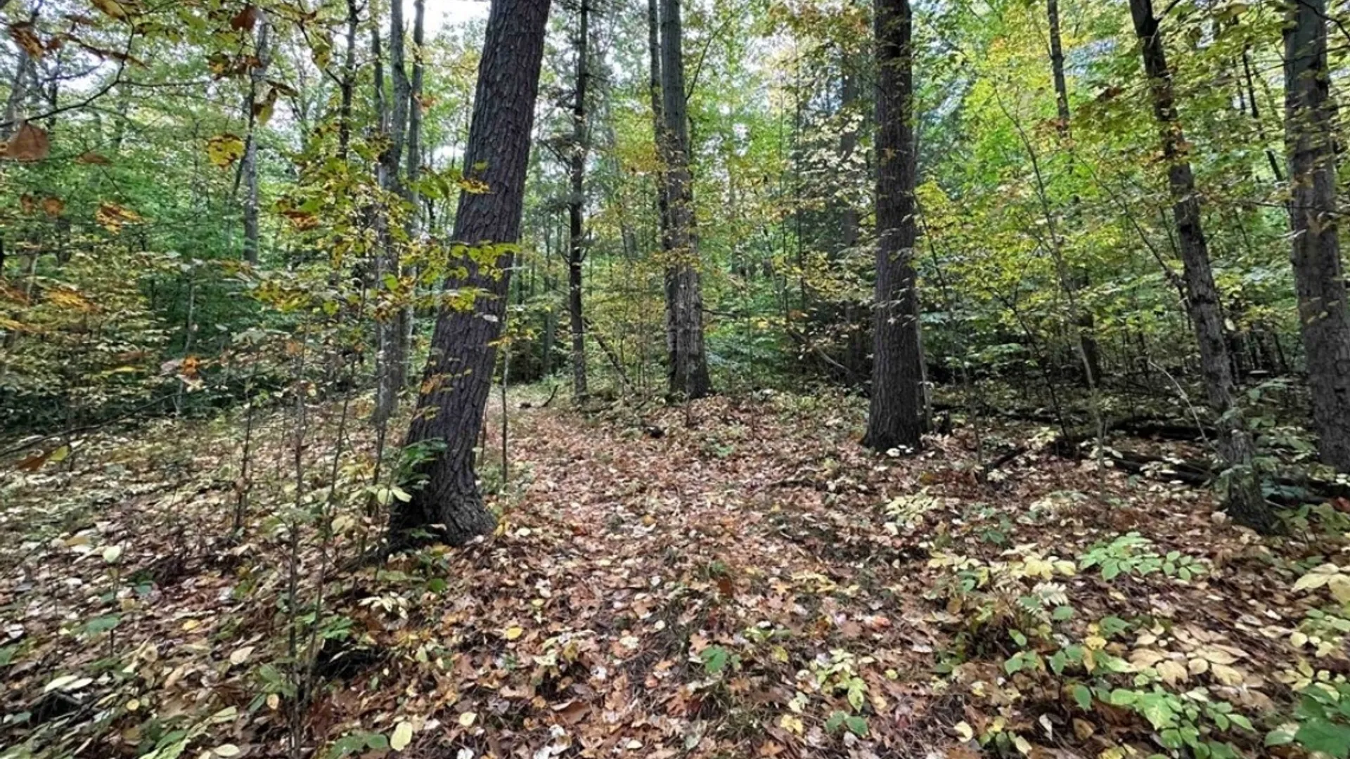 Property at 8248 Gallagher Road, Pulteney, NY 14873 17