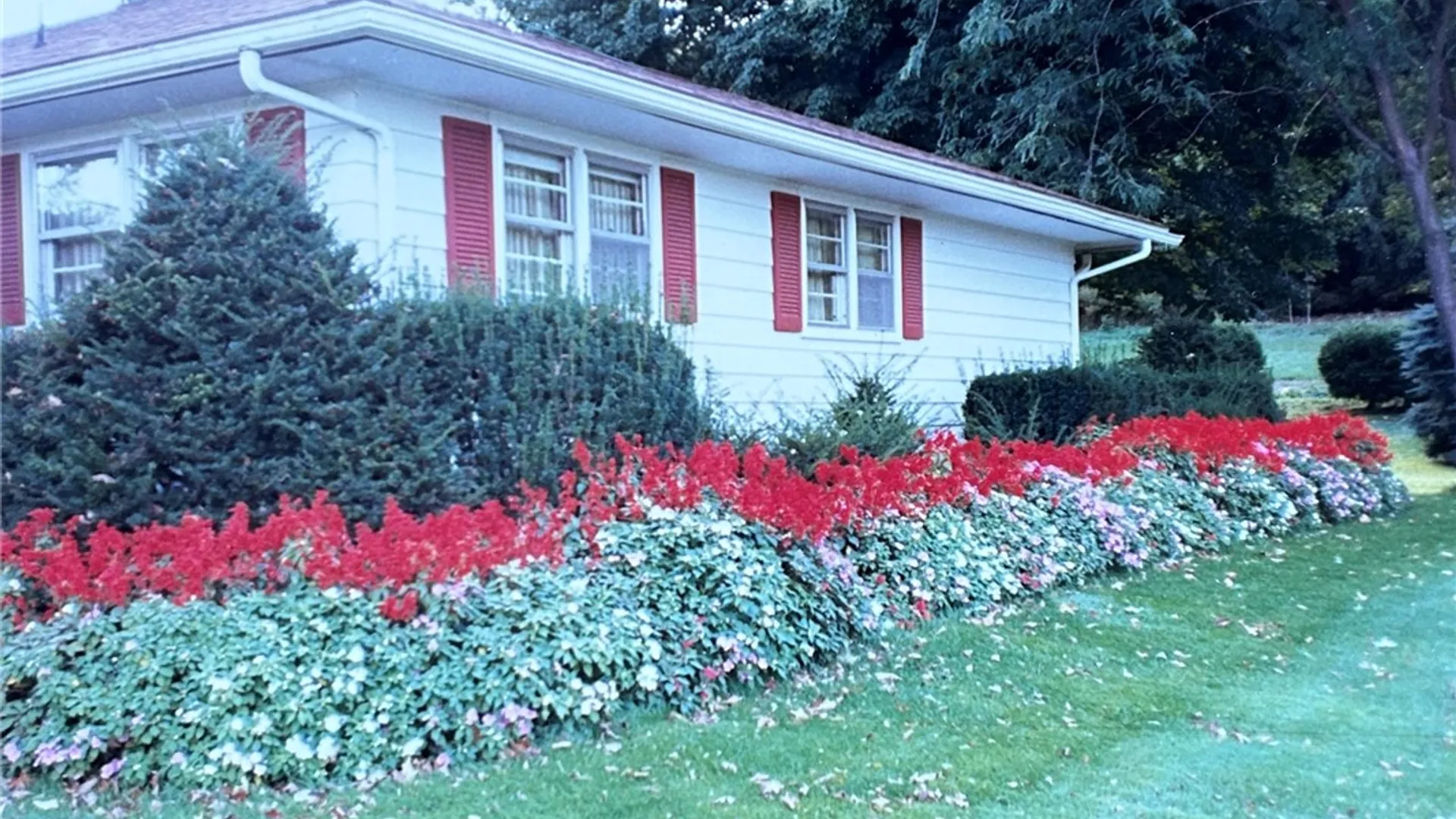 Property at 1921 State Route 14, Lyons, NY 14489 49
