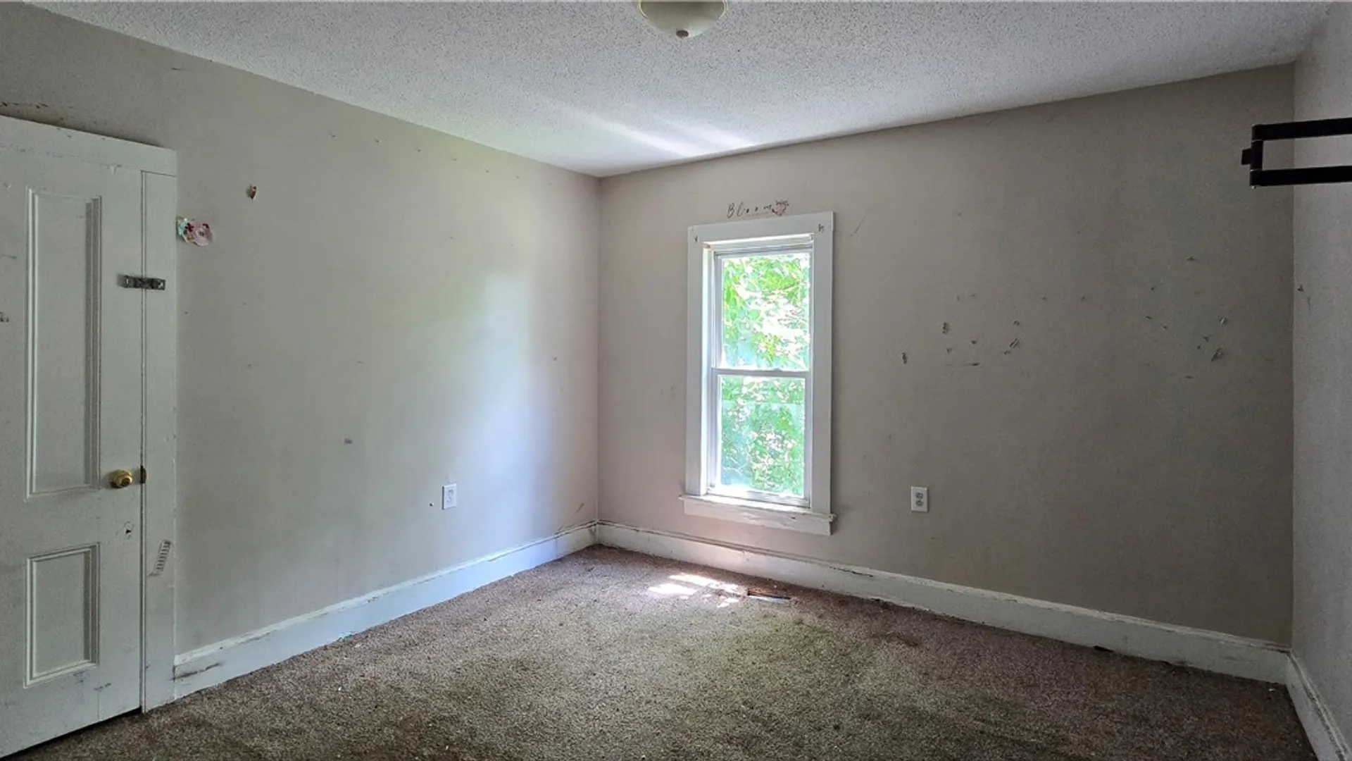 Property at 307 Baty Street, Elmira City, NY 14904 8
