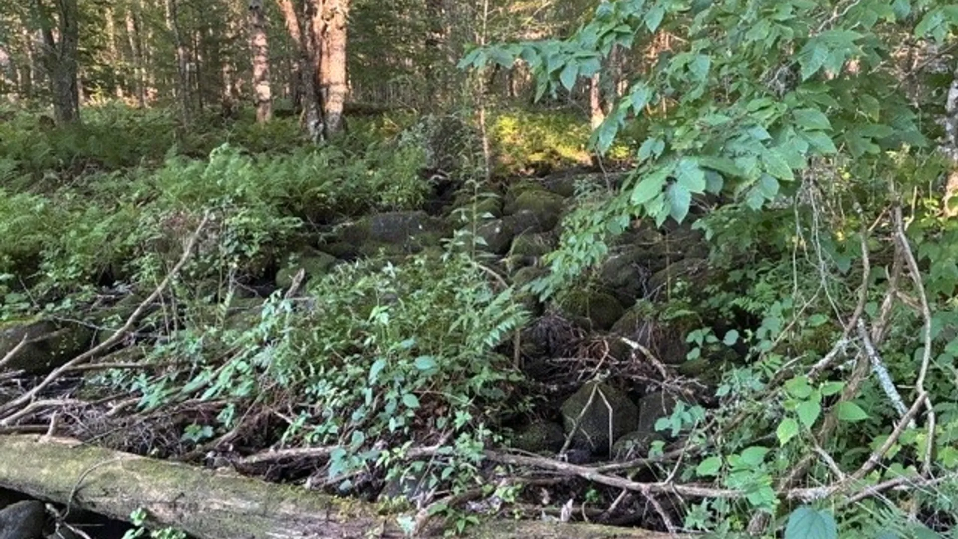 Property at 000 Little Beaver Lake Road, Forestport, NY 13338 36