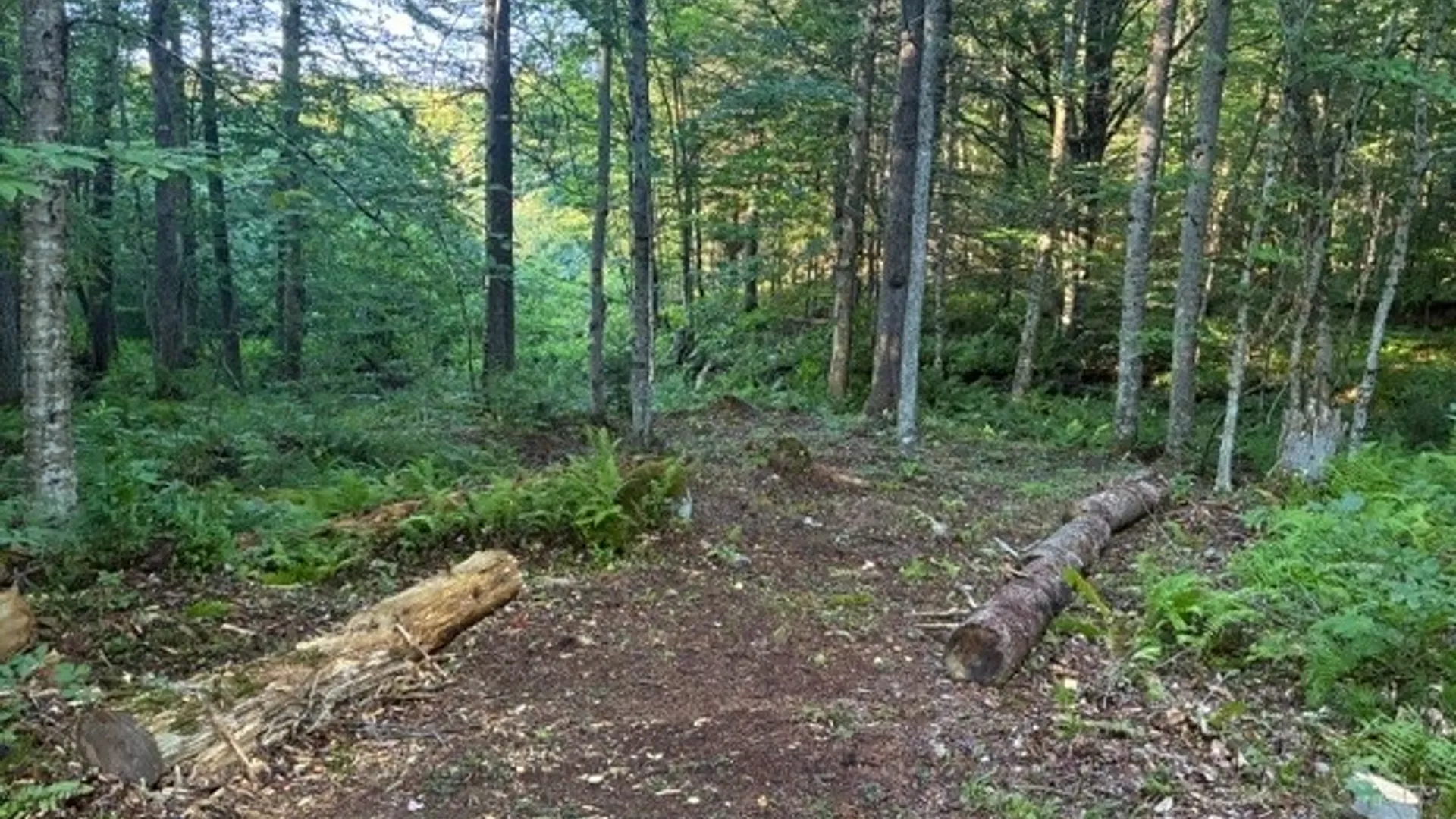 Property at 000 Little Beaver Lake Road, Forestport, NY 13338 20