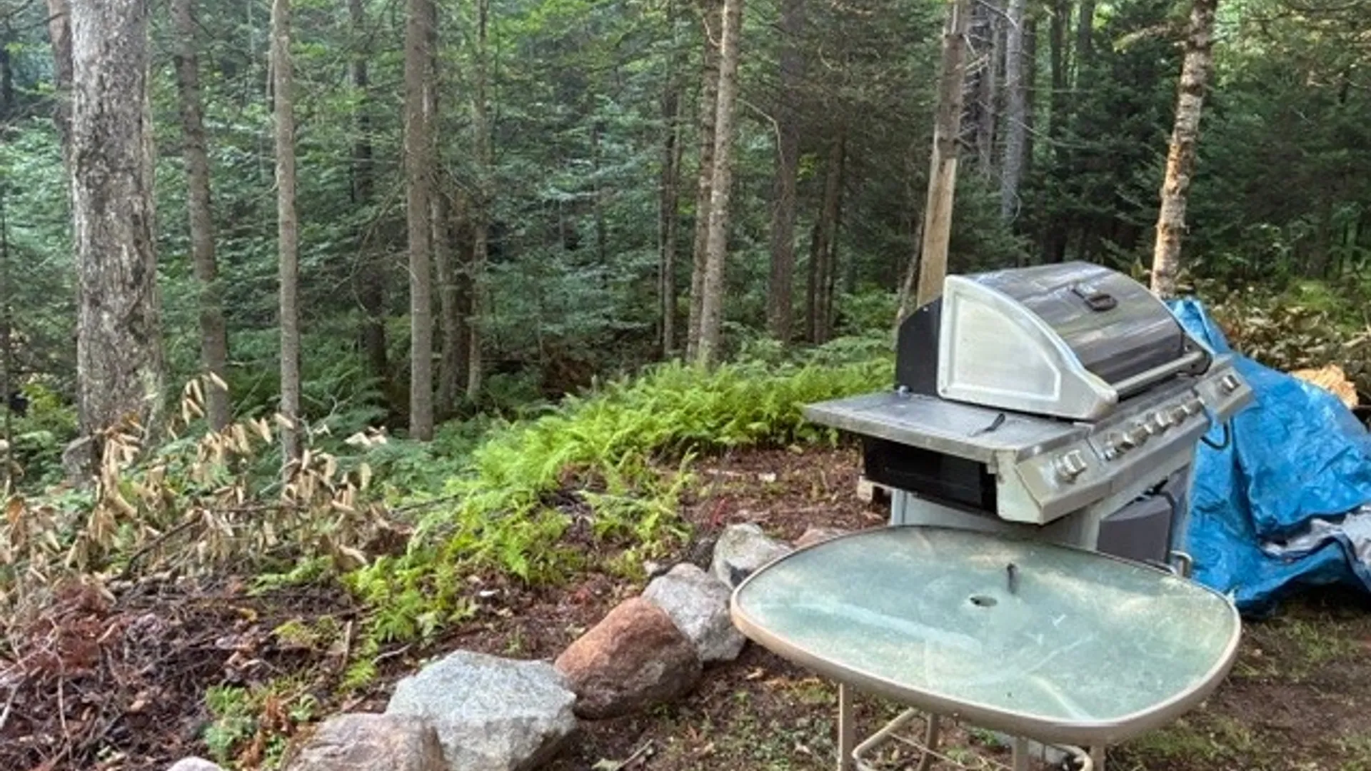 Property at 000 Little Beaver Lake Road, Forestport, NY 13338 13
