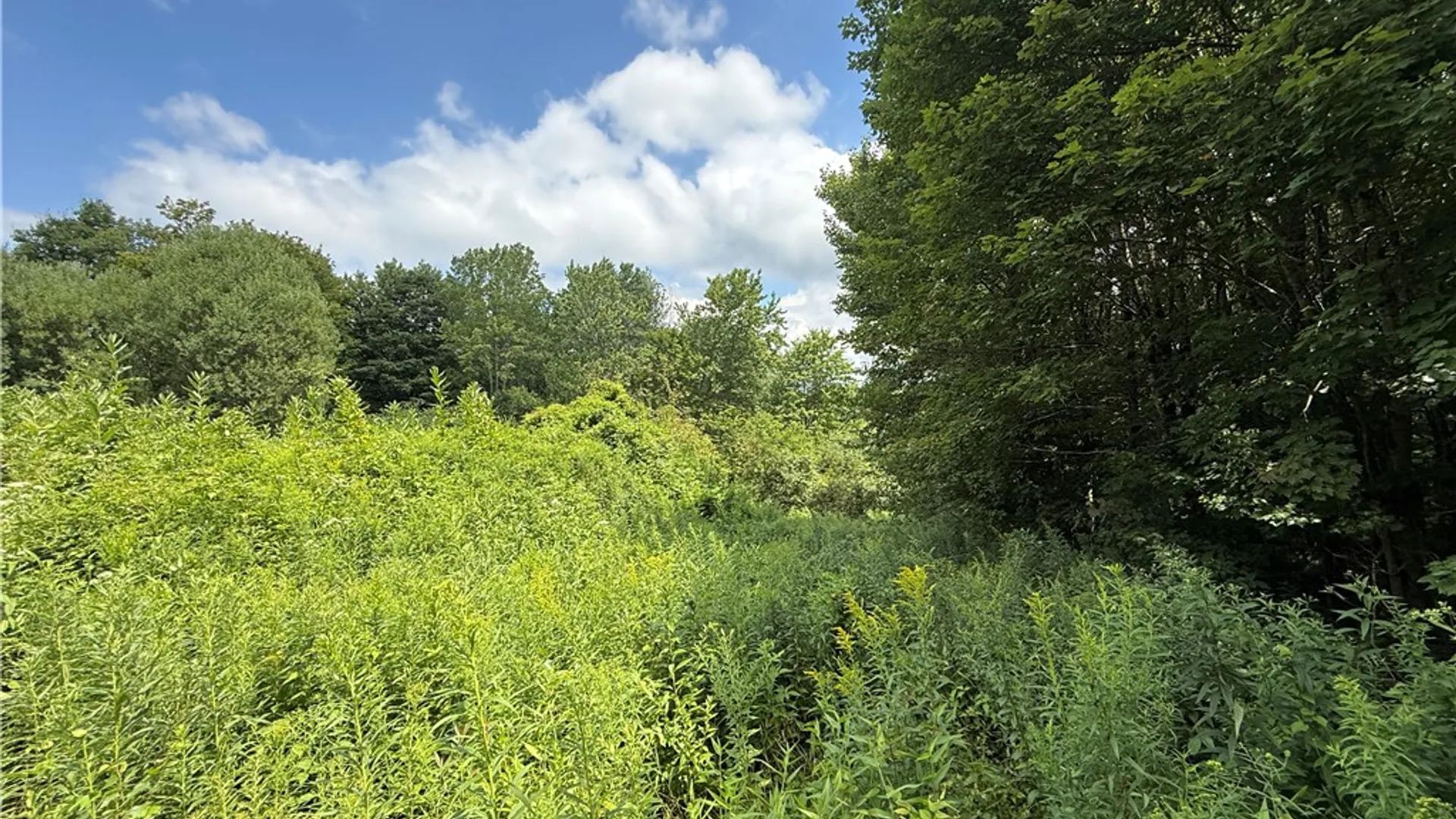 Property at 82 Ohara Road, Redfield, NY 13493 40
