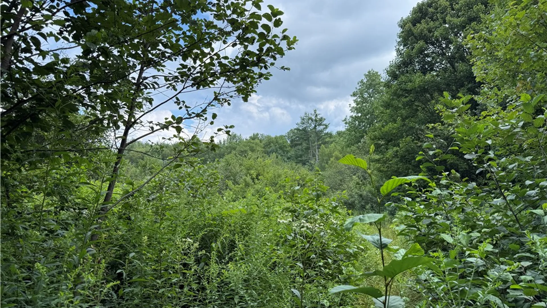 Property at 82 Ohara Road, Redfield, NY 13493 42