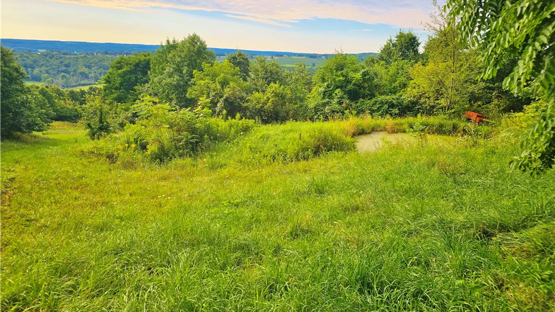 Property at 3256 State Route 54A, Jerusalem, NY 14478 12