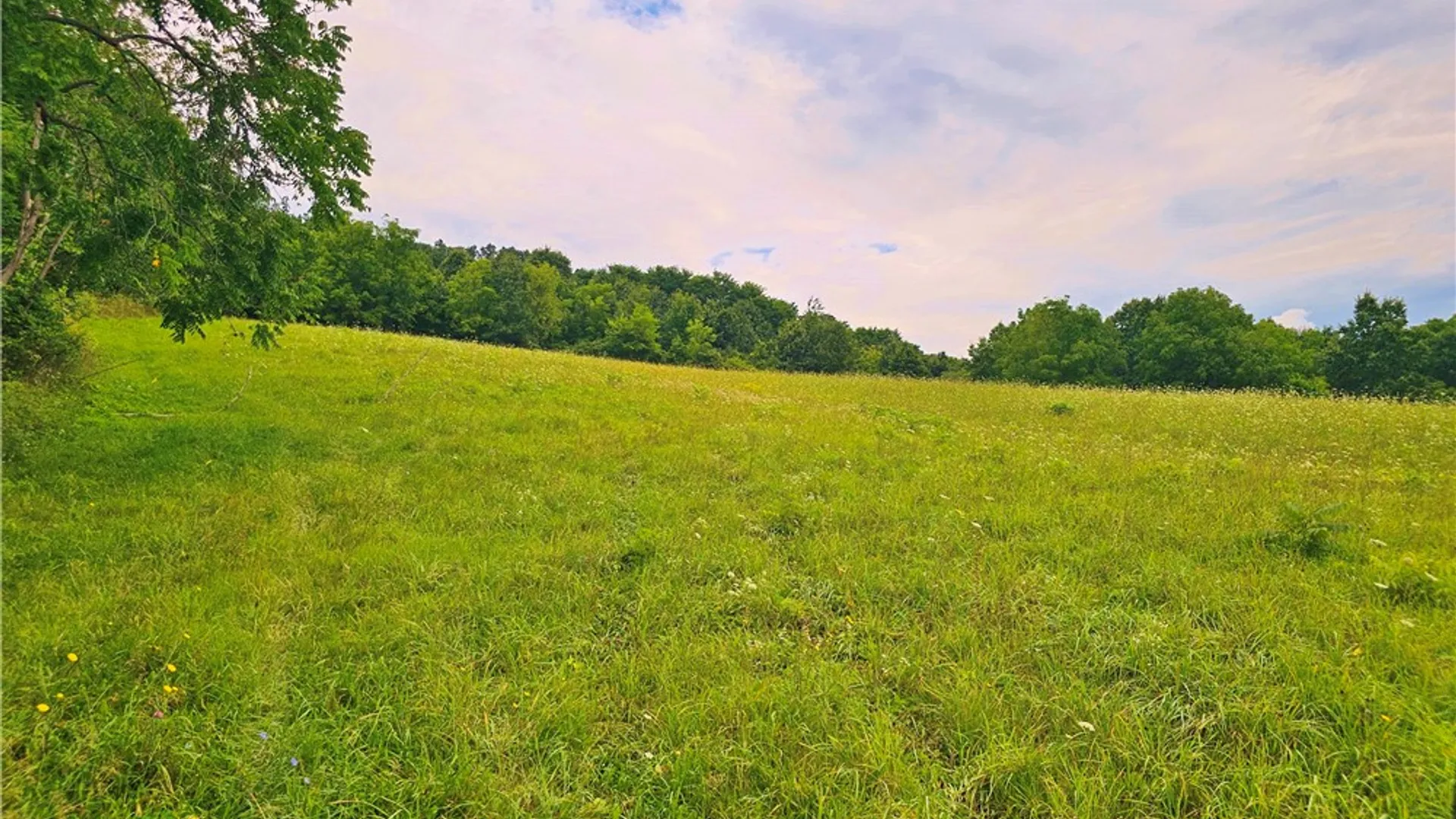 Property at 3256 State Route 54A, Jerusalem, NY 14478 23