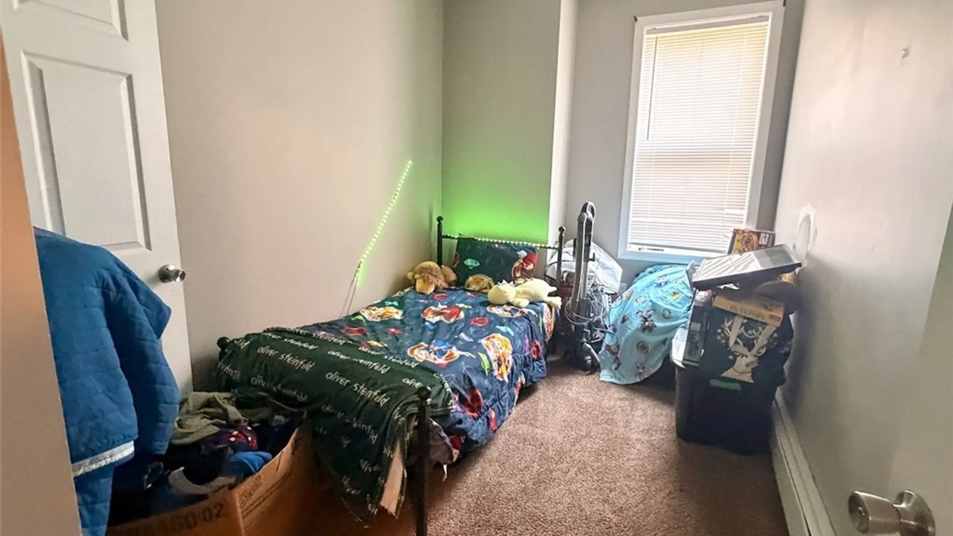 Property at 88 W 8th Street, Oswego, NY 13126 23