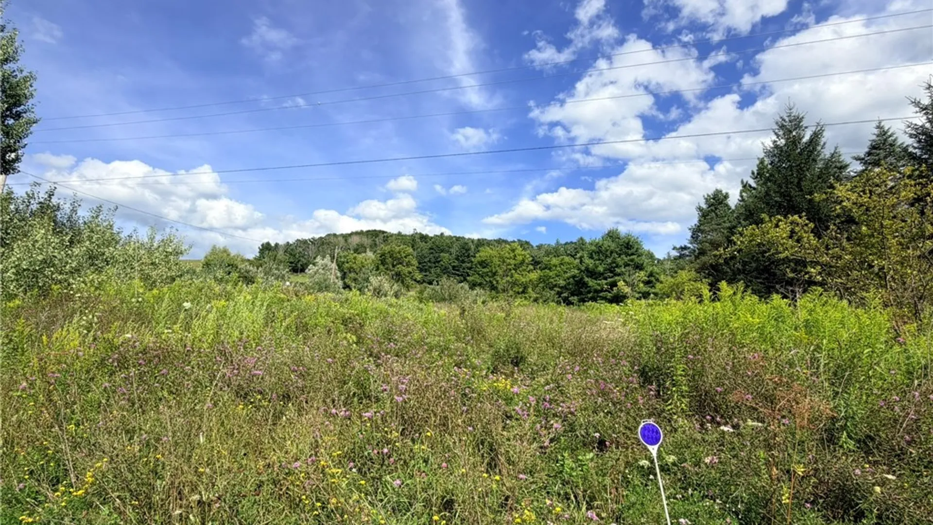 Property at 1928 County Route 102, Woodhull, NY 14898 5