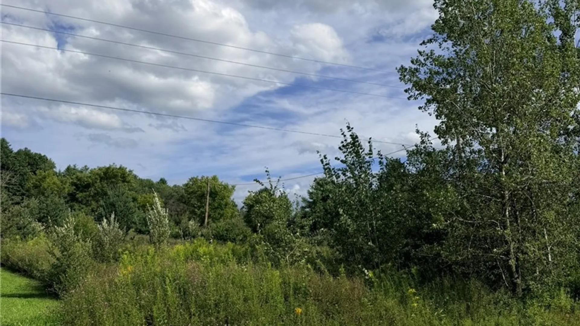 Property at 1928 County Route 102, Woodhull, NY 14898 7